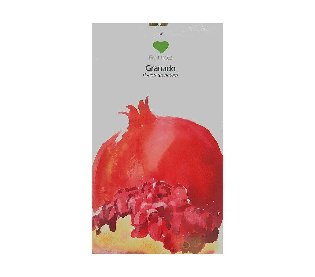 Árbol Frutal Granado Punica Copa M22 150cm_1