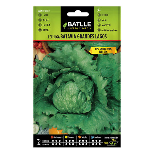 Semillas de Lechuga Grandes Lagos Batlle