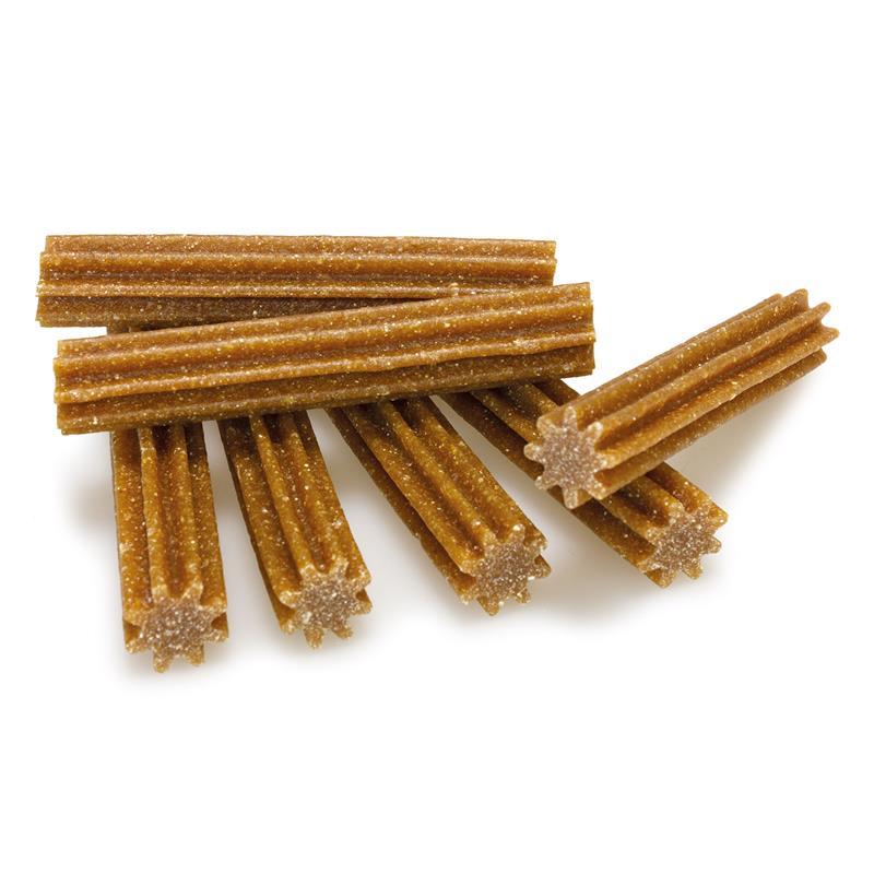 Fresh Dental Sticks Arquivet 7 ud