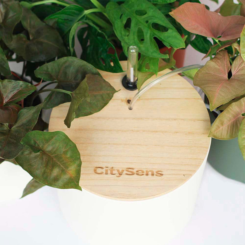 Kit De Riego Por Goteo Citysens Con Depósito Blanco Y 12 Goteros