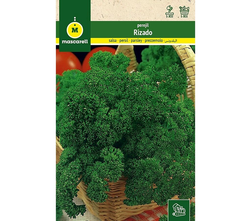 Semillas Perejil Rizado