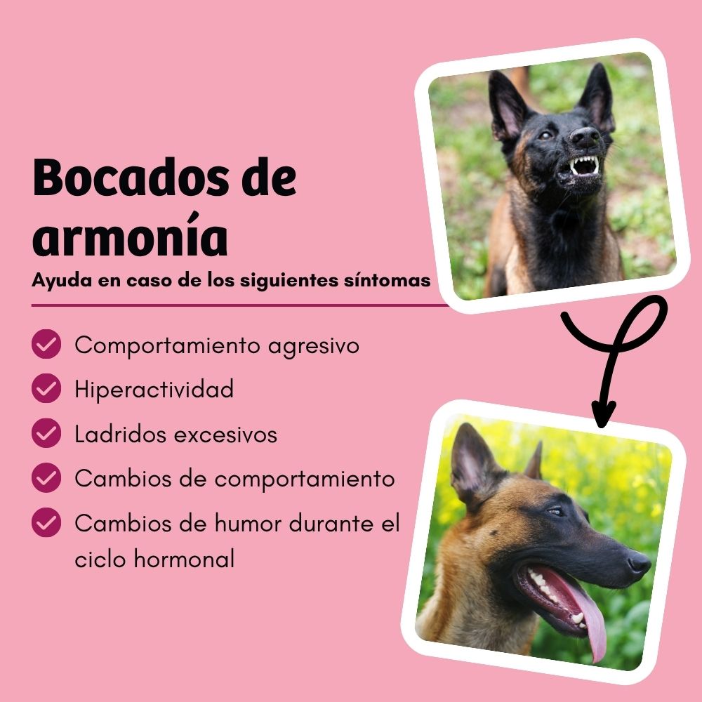 BugBell HappyMood Pienso – hipoalergénico, sin cereales, con proteína de insecto, remolacha, vitex y valeriana_3