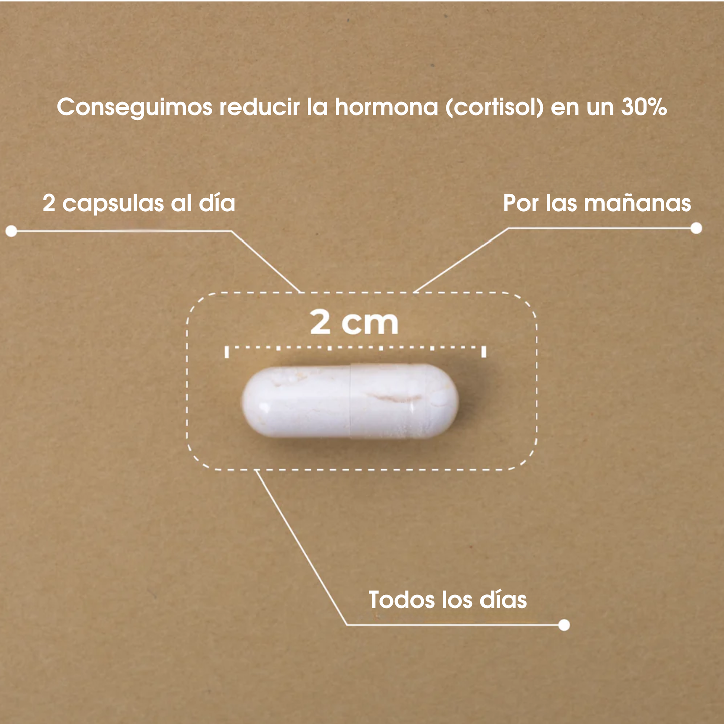 Koi Natur Balance – Fórmula Adaptógena Para El Estrés_5