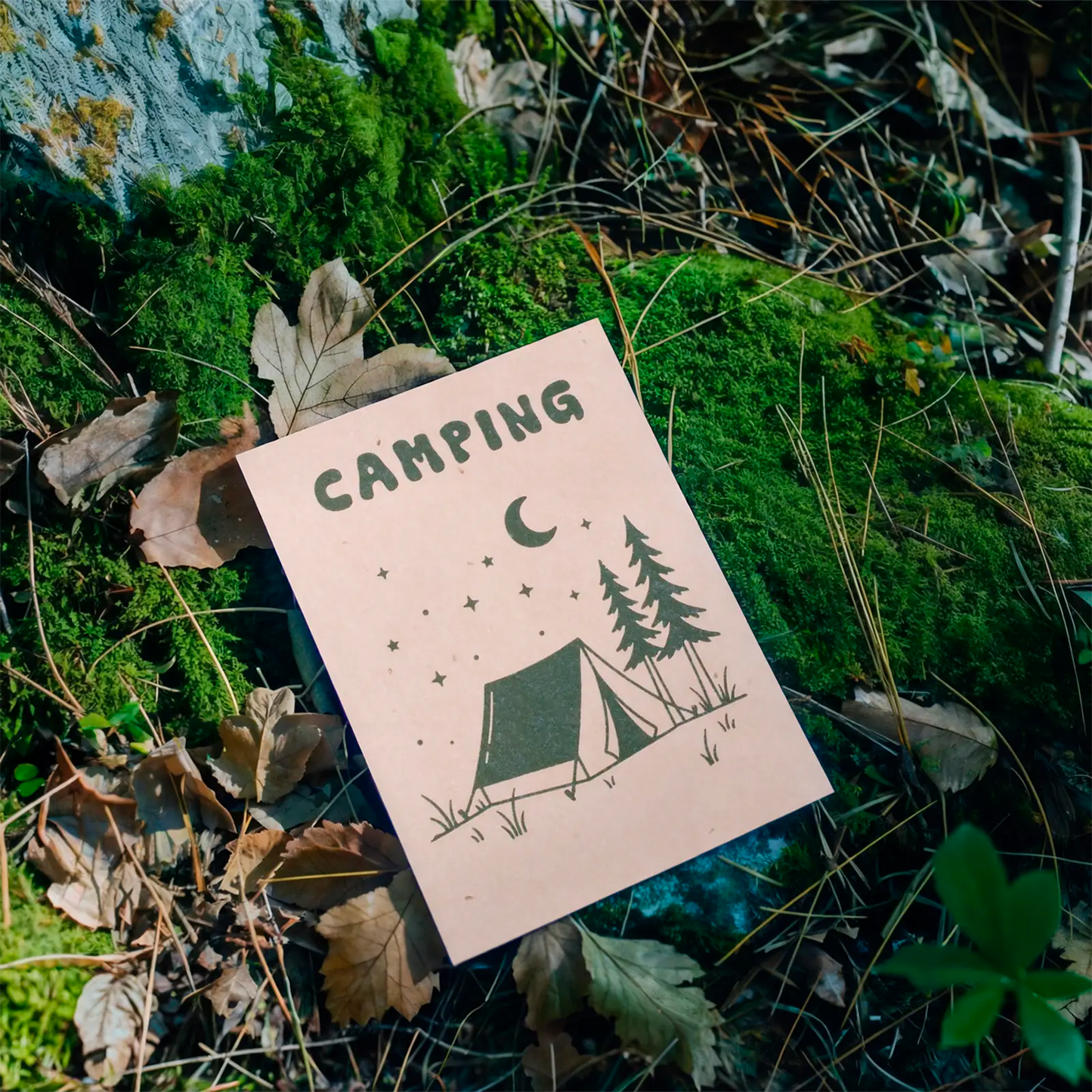Postal Plantable Camping Semillas de Manzanilla | Papel de Algodón Reciclado | Regalo Original - Resetea_4
