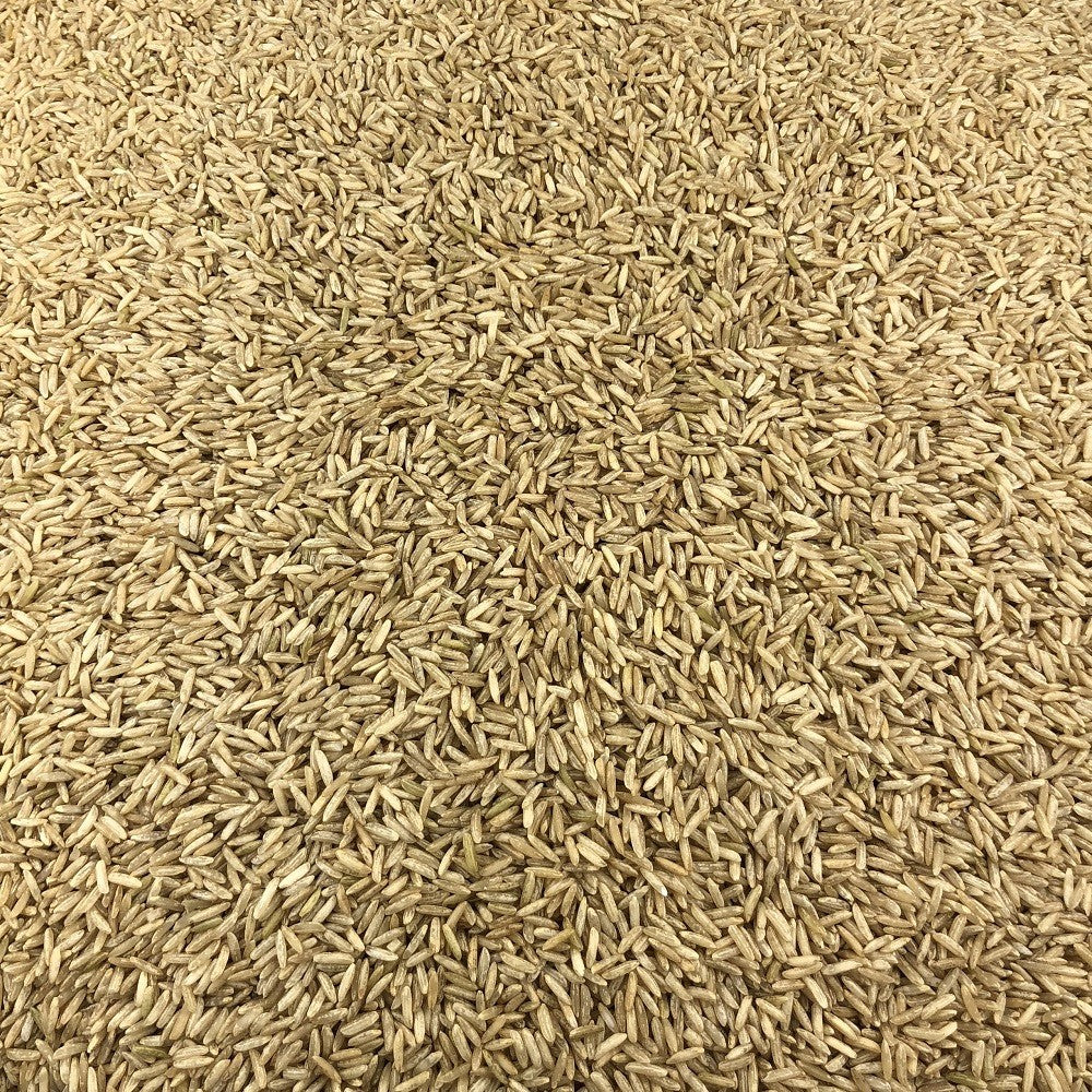 Arroz Integral Ecológico Granel 0,5 Kg_2