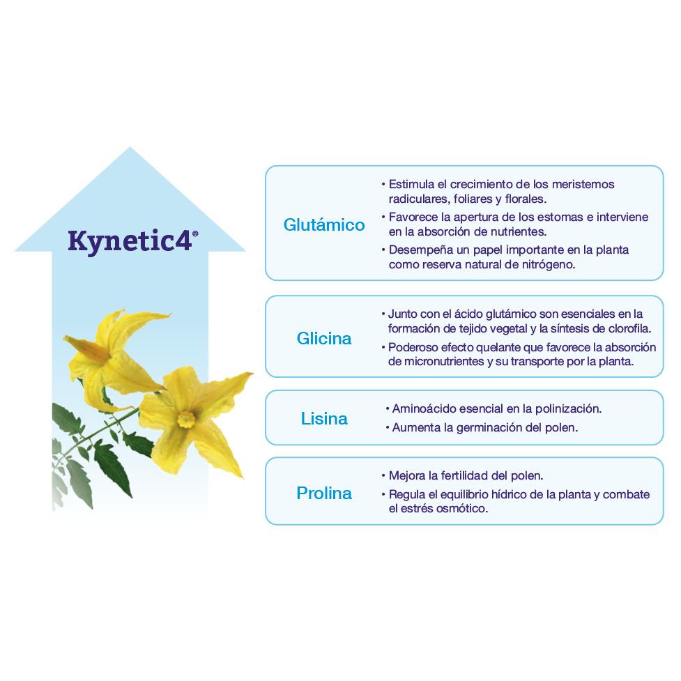 Kynetic4 Bioestimulante Floración y Cuajado Seipasa 250 ml