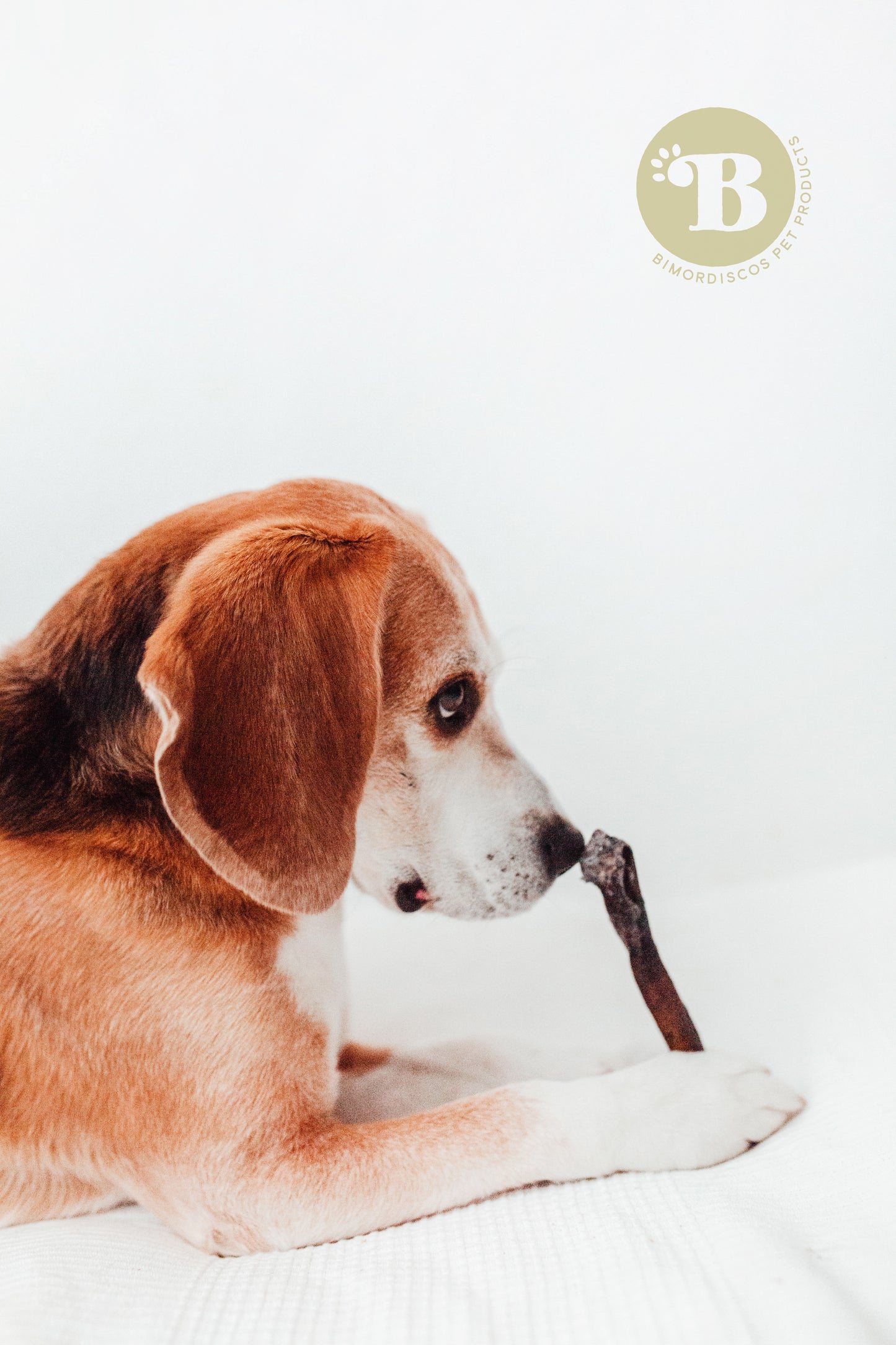 Bimordiscos Piel De Camello Para Perros · 100g.