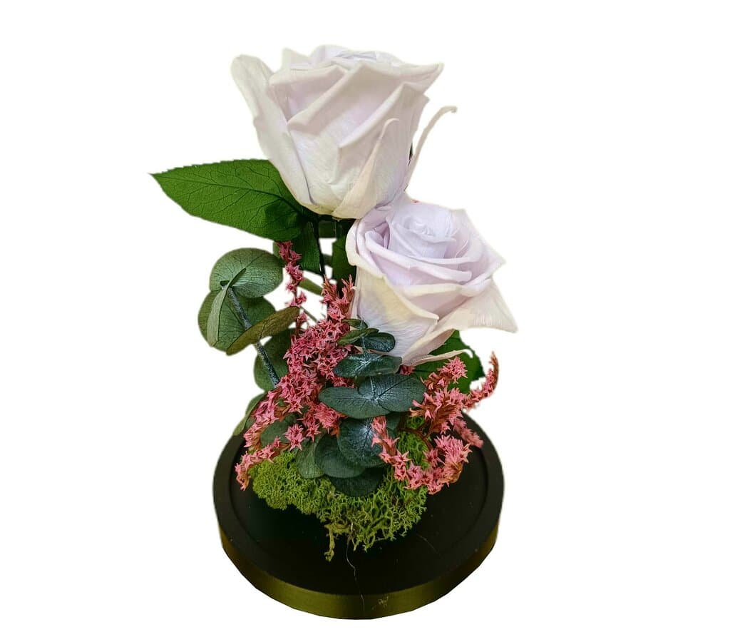 Cúpula 2 Rosas Lavanda 12x20cm_1