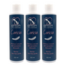 Champú Natural Para Perros “caricia” - Pack Ahorro - 3x250 Ml