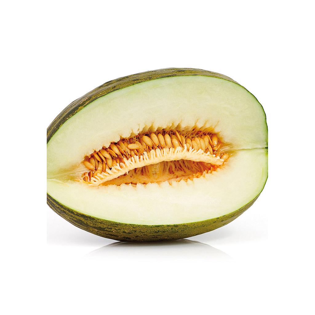 Melón De Sapo M11 (cucumis Melo)_0