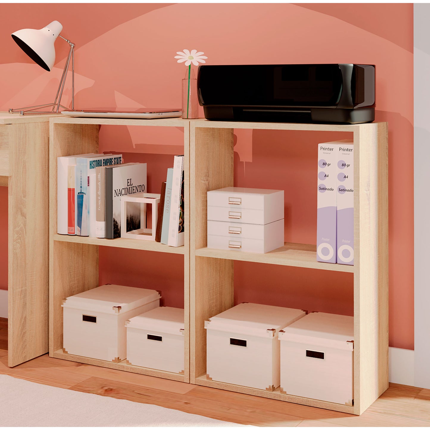 Estantería Almacenaje Libros, Muebles Salón Oficina Modernos, Librería 75x50x24,5cm Habitación, Briebe, Nova, Madera