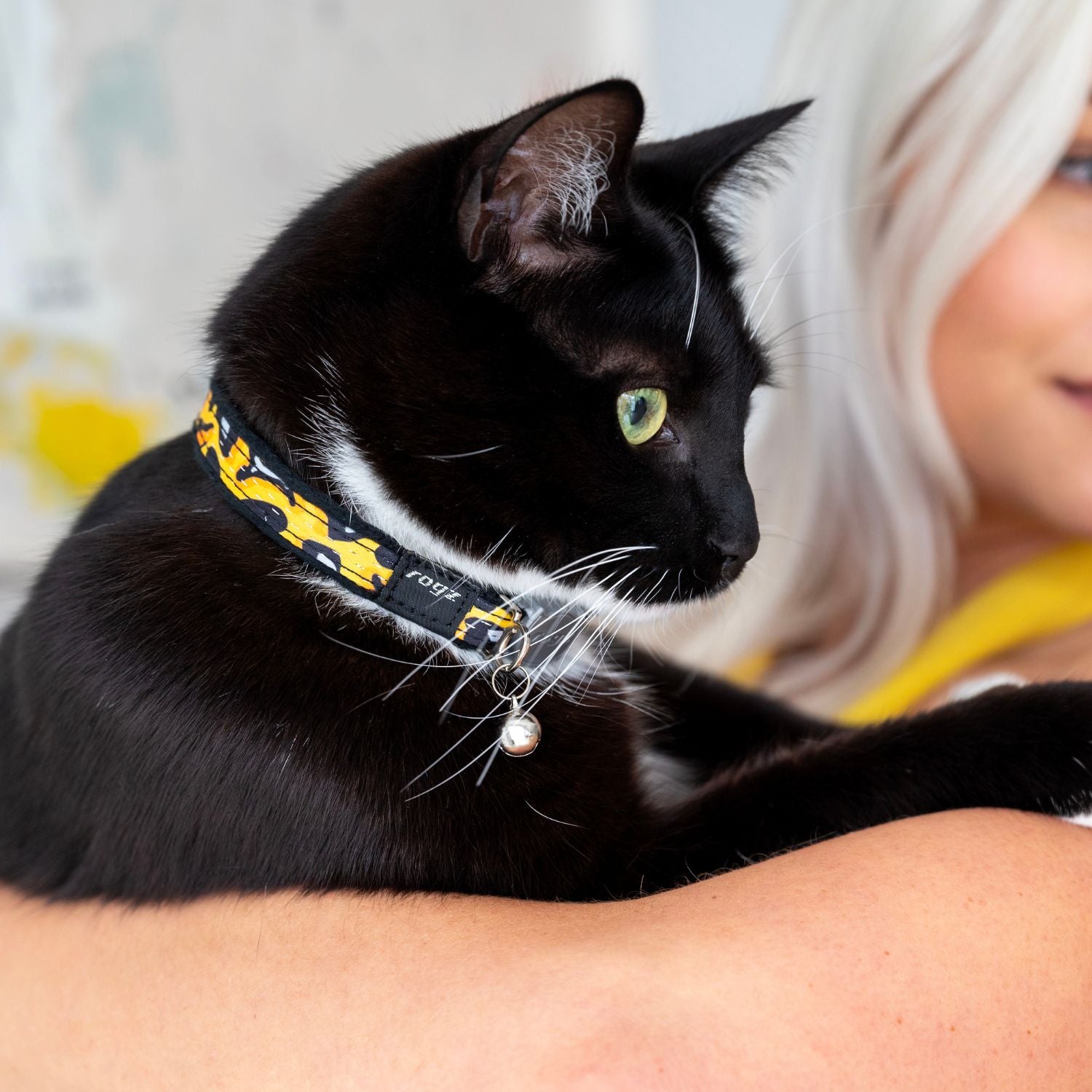 Collar Para Gato Fashioncat Estampado Amarillo Rogz Ajustable 20-31cm