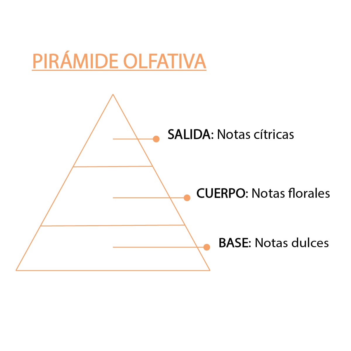 Esencia Natural Naranja SYS Aromas 12 ml | Aroma Cítrico y Frutal | Para Quemadores y Humidificadores_3
