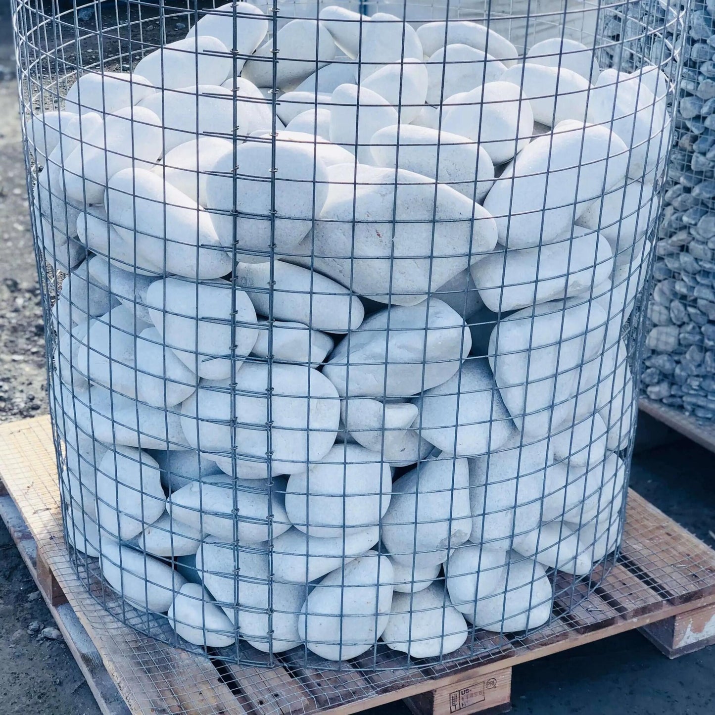 Bolo Blanco Puro / Jaula Metálica 1.000 Kg. / 100-200 Mm_4