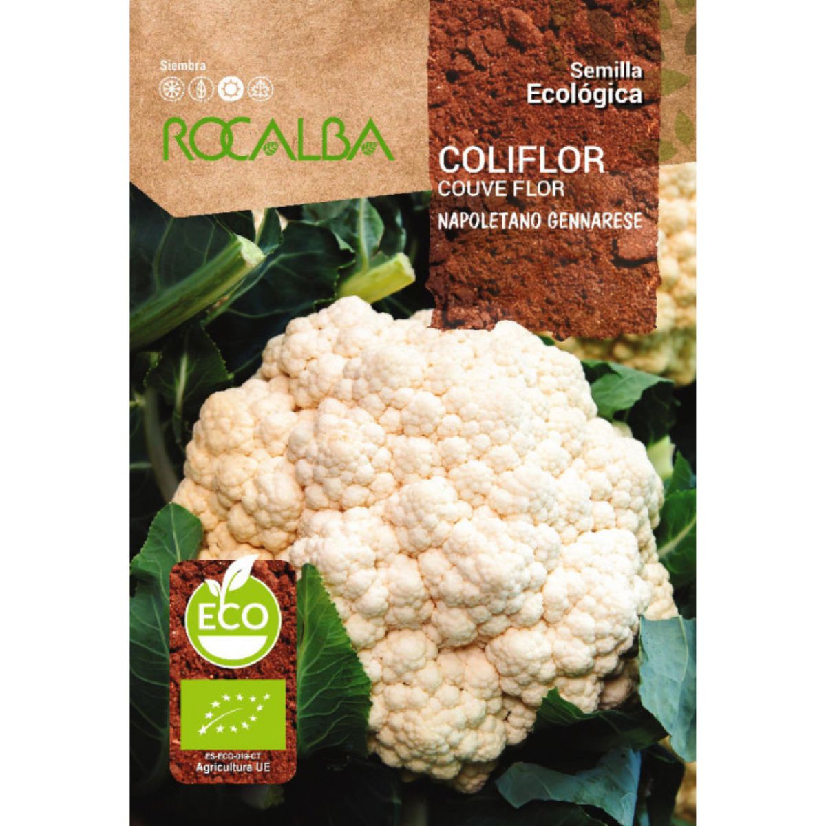 Semillas de coliflor napoletano gennarese ecológicas Rocalba