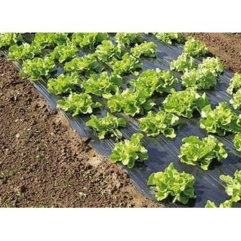 Film de acolchamiento microperforado Terrafilm Nortene 1,4 x 10 m