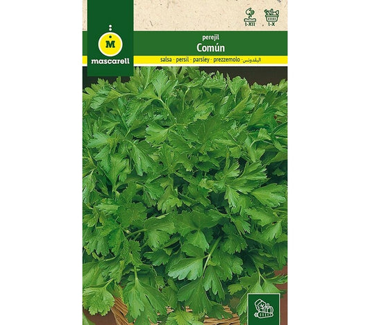 Semillas Perejil Común