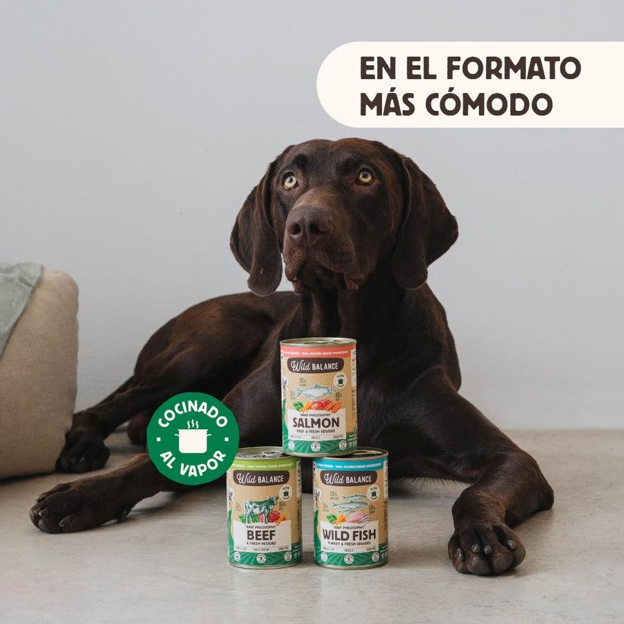 Pack Salmón y Ternera barf para perros 6 x 400 g Wild Balance