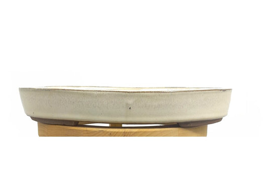 Tiesto Bonsai Oval Crema 25x17.5x4cm