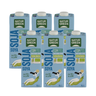 Pack Bebida de Soja con sirope de agave Bio NaturGreen 6L