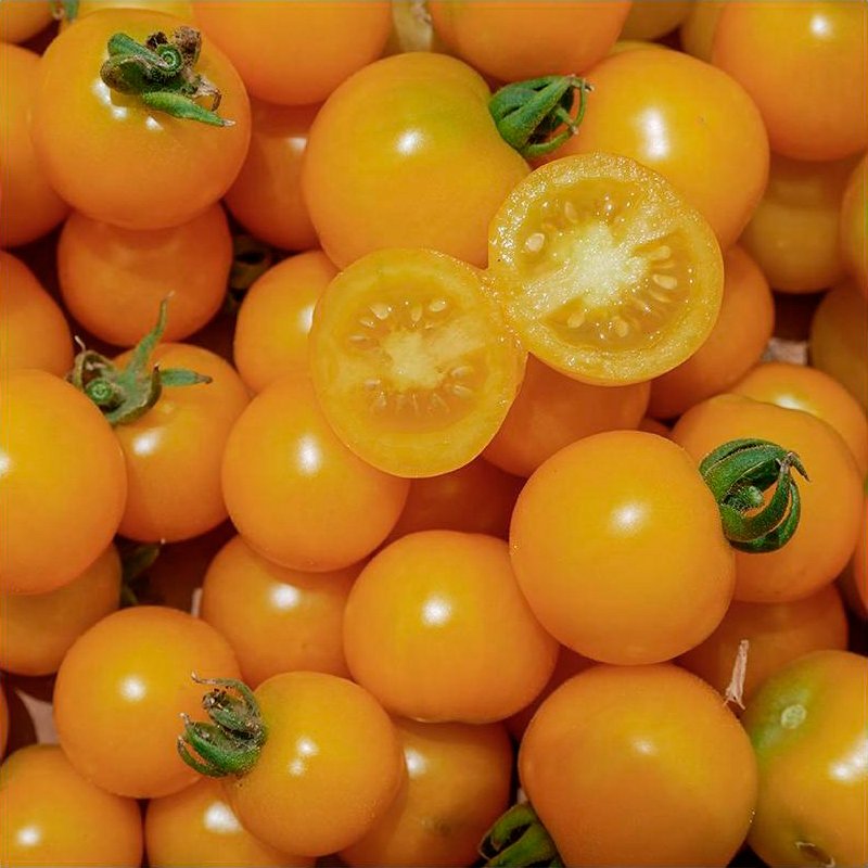 Semillas Tomate Galina Ecológicas_0