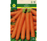 Semilla Zanahoria Nantesa