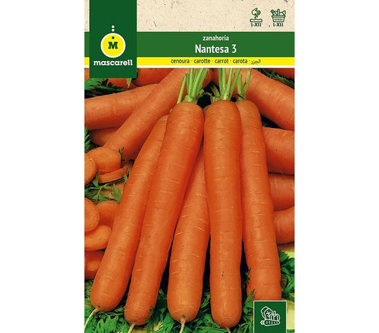 Semilla Zanahoria Nantesa
