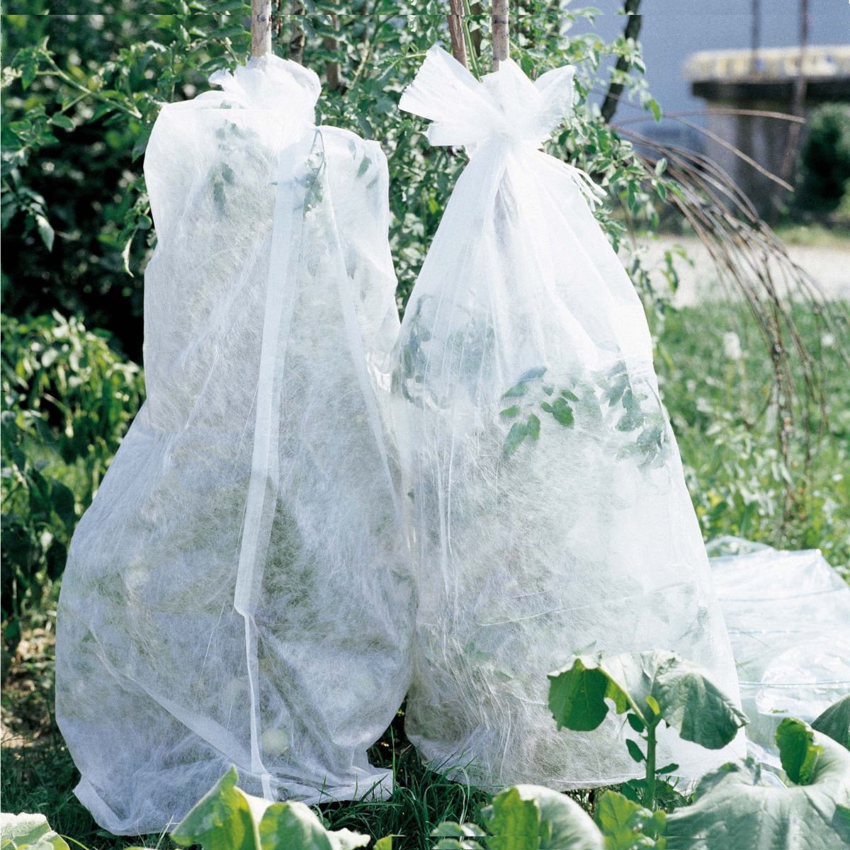 Tela protección de cultivos antiheladas tubular Verdemax 0,8 x 10 m