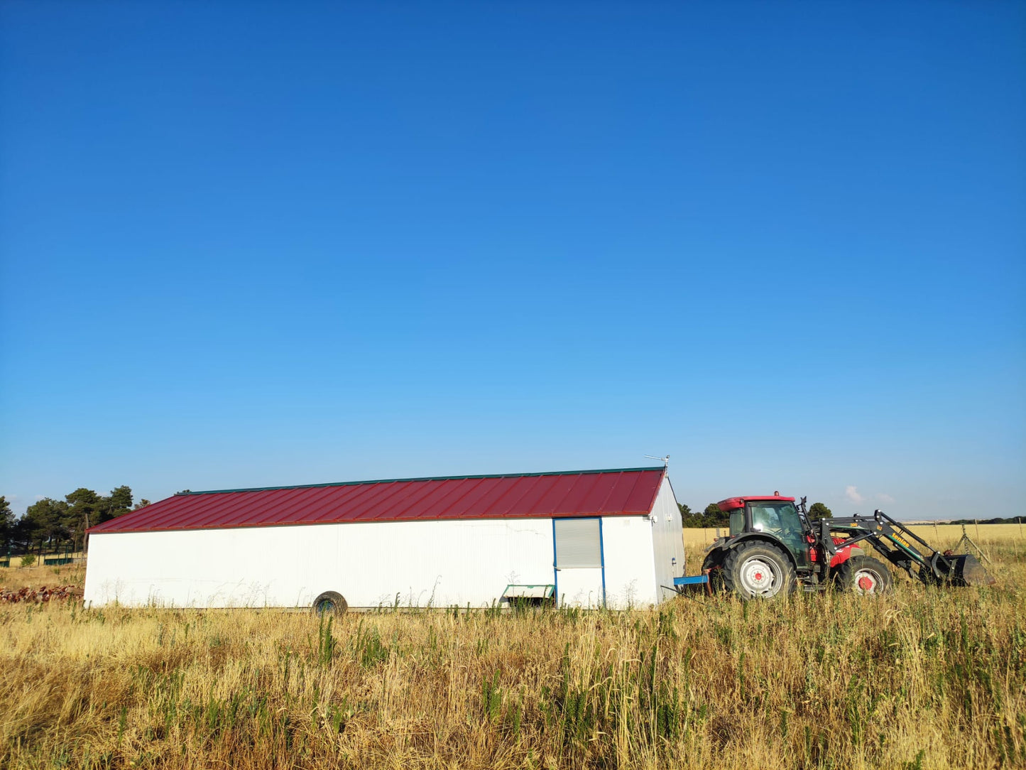 Huevos Ecológicos de Pastoreo Regenerativo (2 Docenas en estuches de 6)