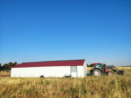 Huevos Ecológicos de Pastoreo Regenerativo (2 Docenas en estuches de 6)