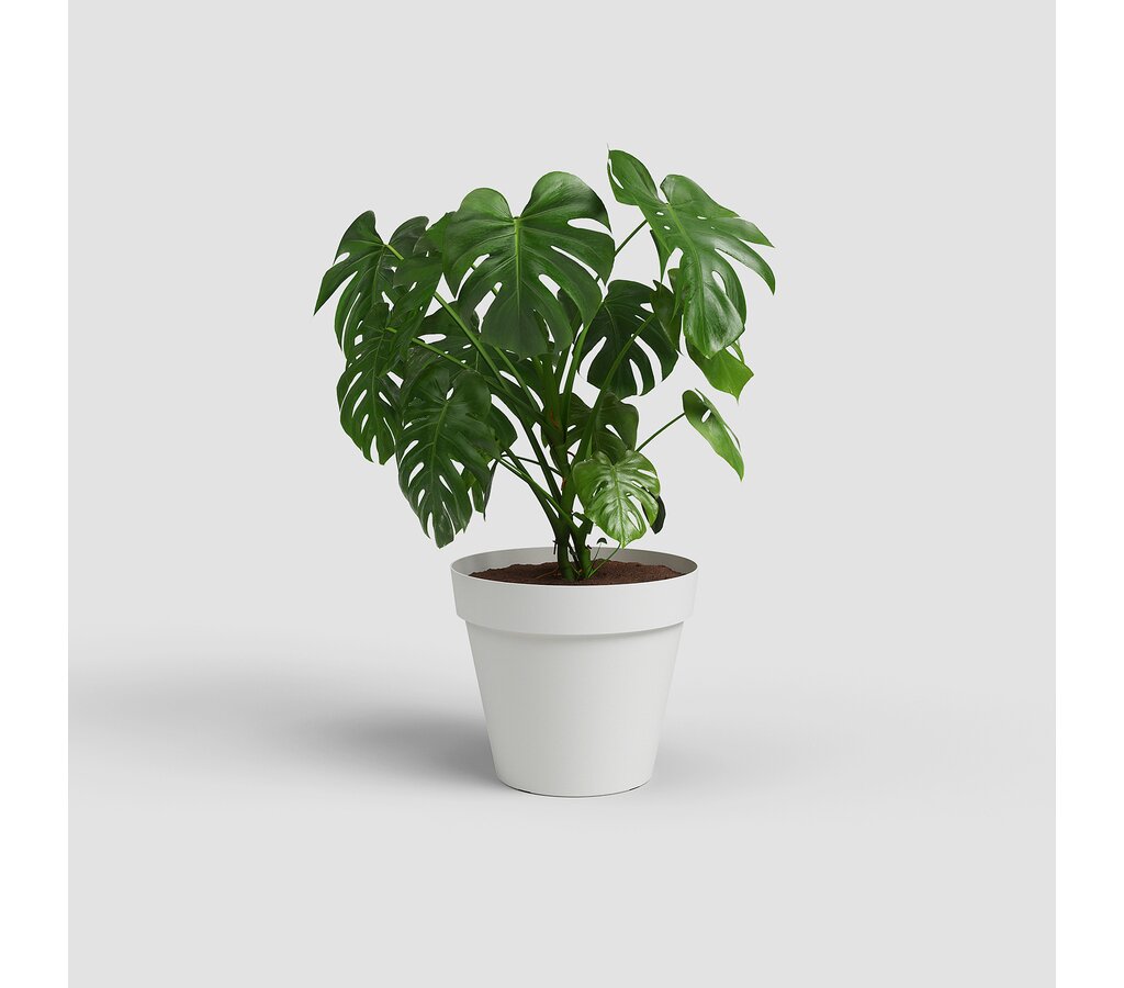 Artevasi Macetero Capri Vaso Blanco De Plástico Reciclado 50cm_1