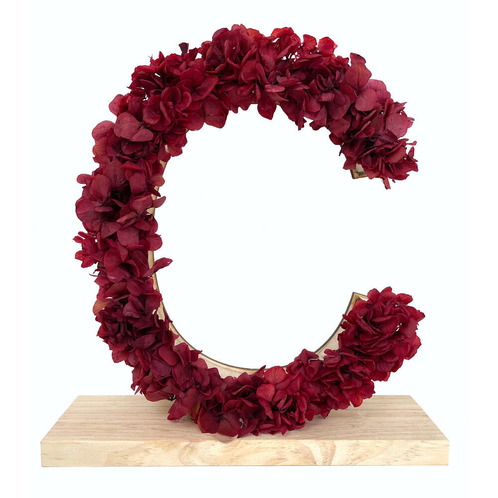 Mundo Eterno Letra Hortensia Roja Preservada 27x26cm_2