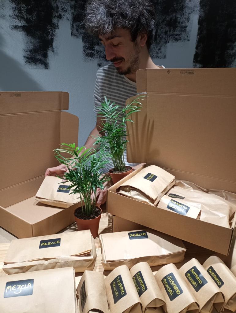 Kit Kokedama - Diy_1