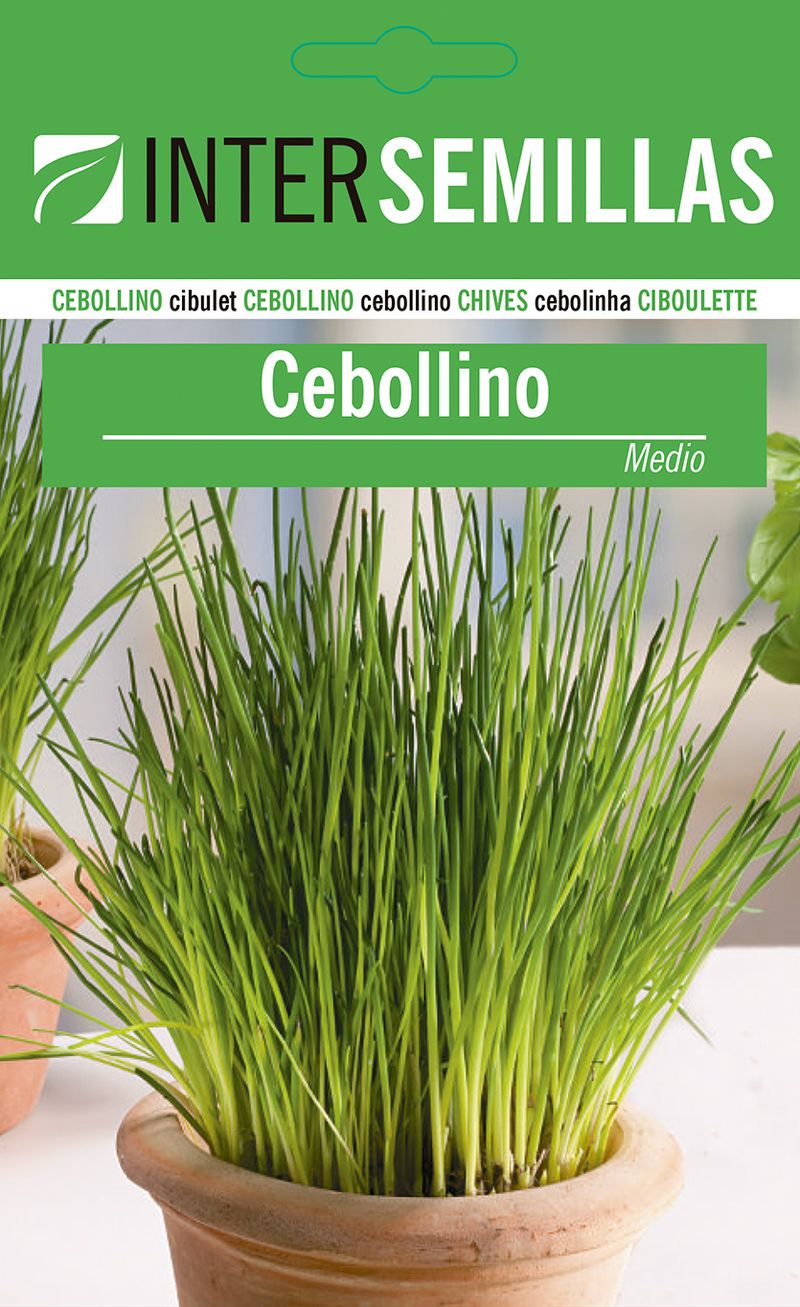 Sobre De Semillas De Cebollino_0