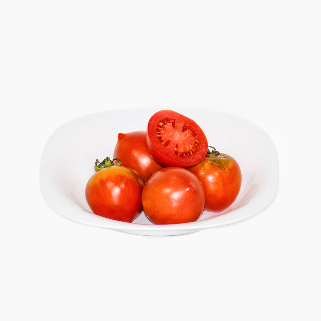Plantón Tomate Penjar Grill 6 Unidades - Plantabo_1