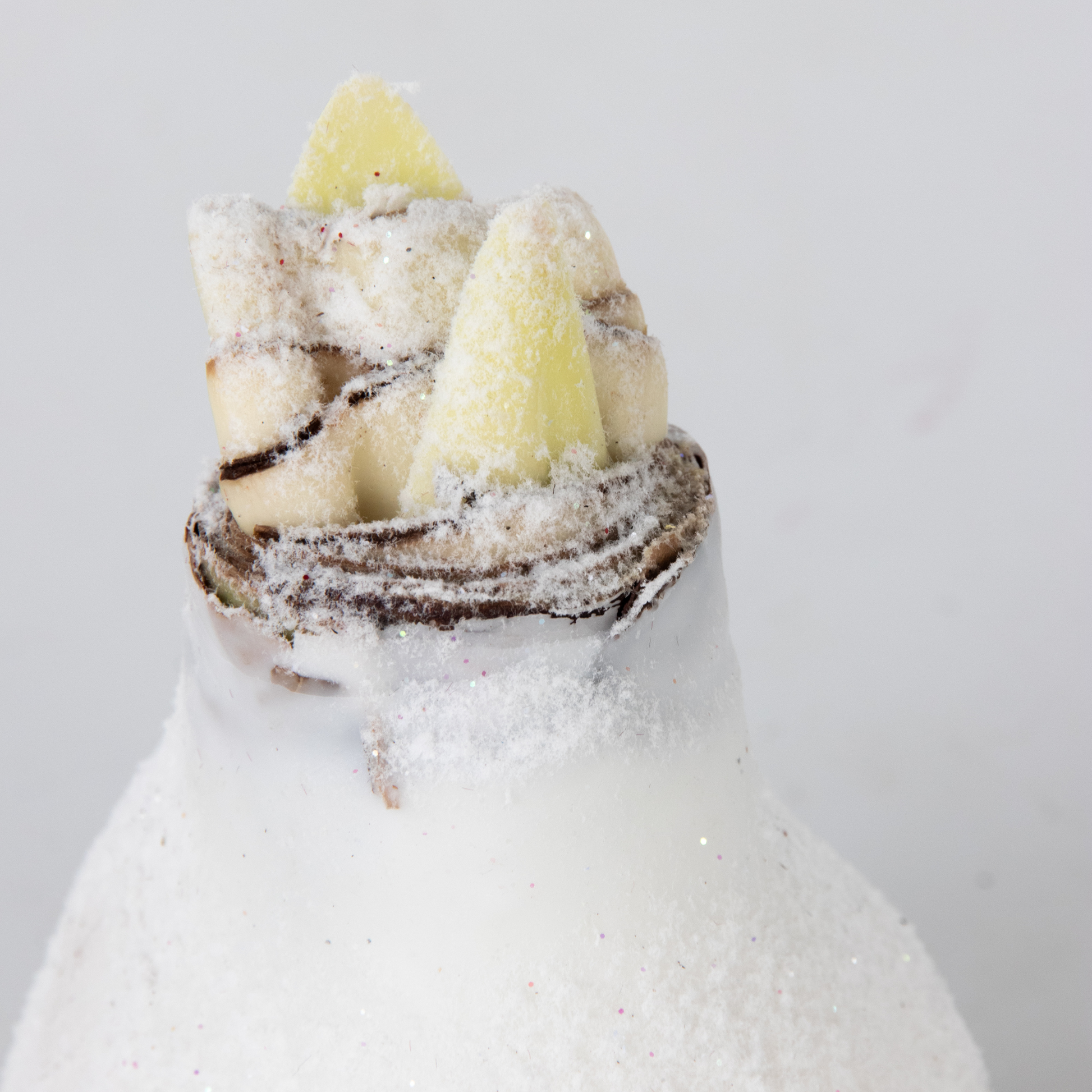 Amarilis - Hippeastrum 'wax Snow Mix' - Bulbo De Flor - Rojo