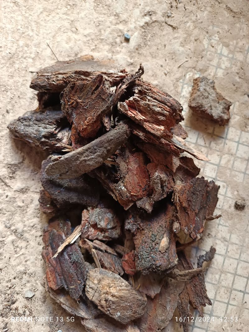 Corteza Pino Sustrato 1 Litro Orquideas, Terrarios