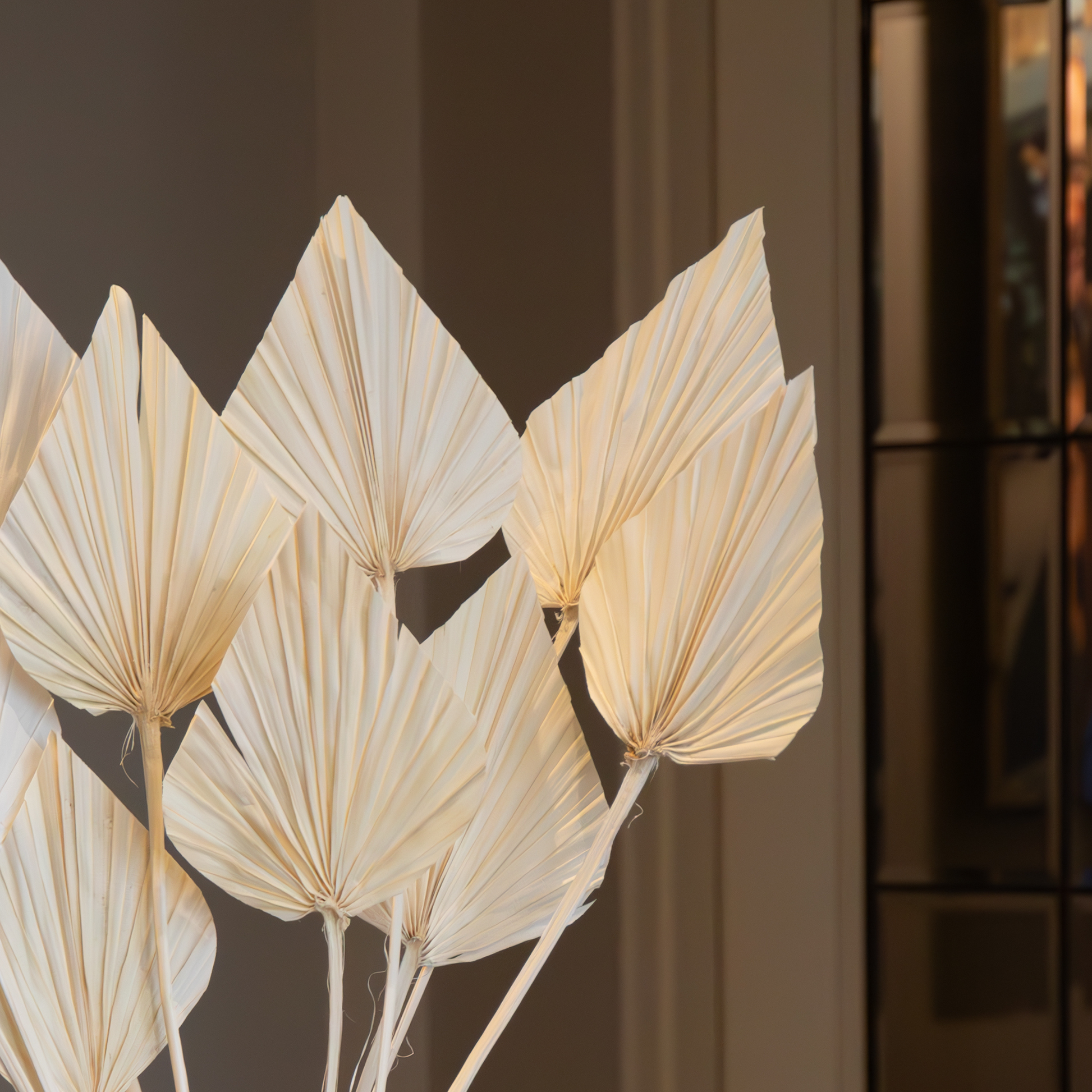 Flores Secas - 10 Pzs - Ramo 'palmspear Bleached White'