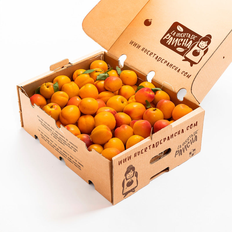 Albaricoques de La Huerta de Pancha 1/2 Kg_2