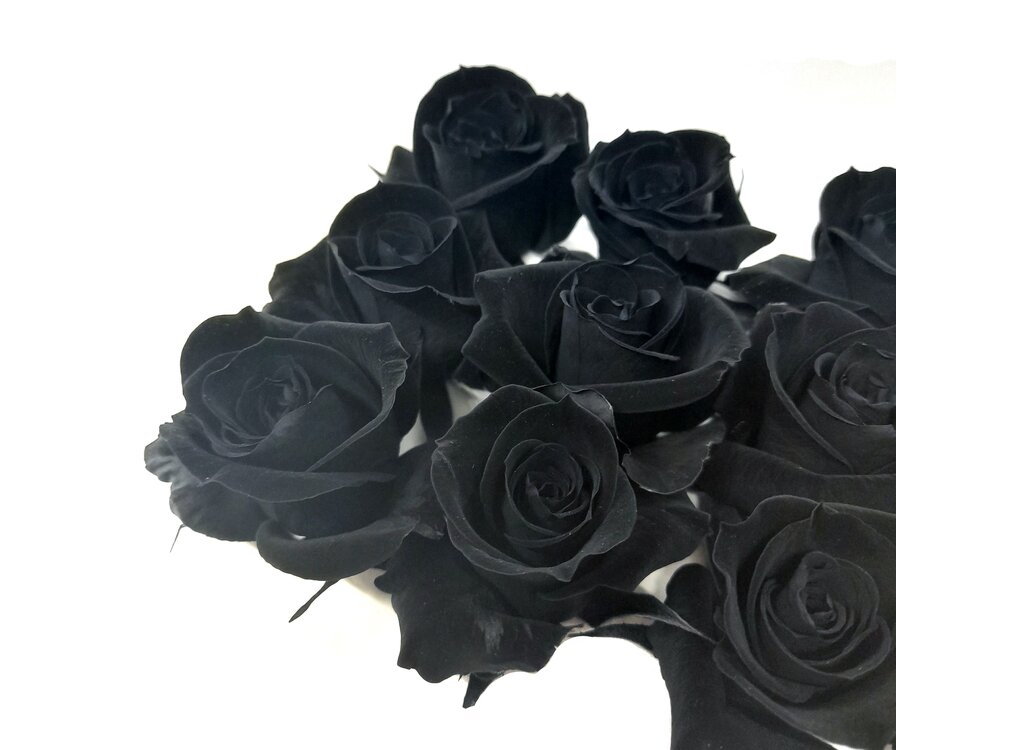 Mundo Eterno Rosas Negras Preservadas 12 Unidades 3-4cm_1