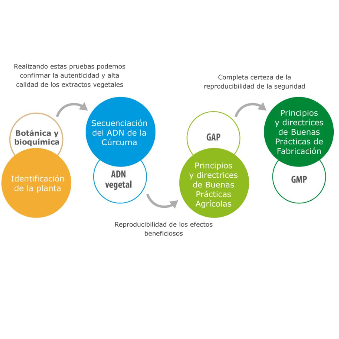 Curcufit 100% Natura 60 Caps