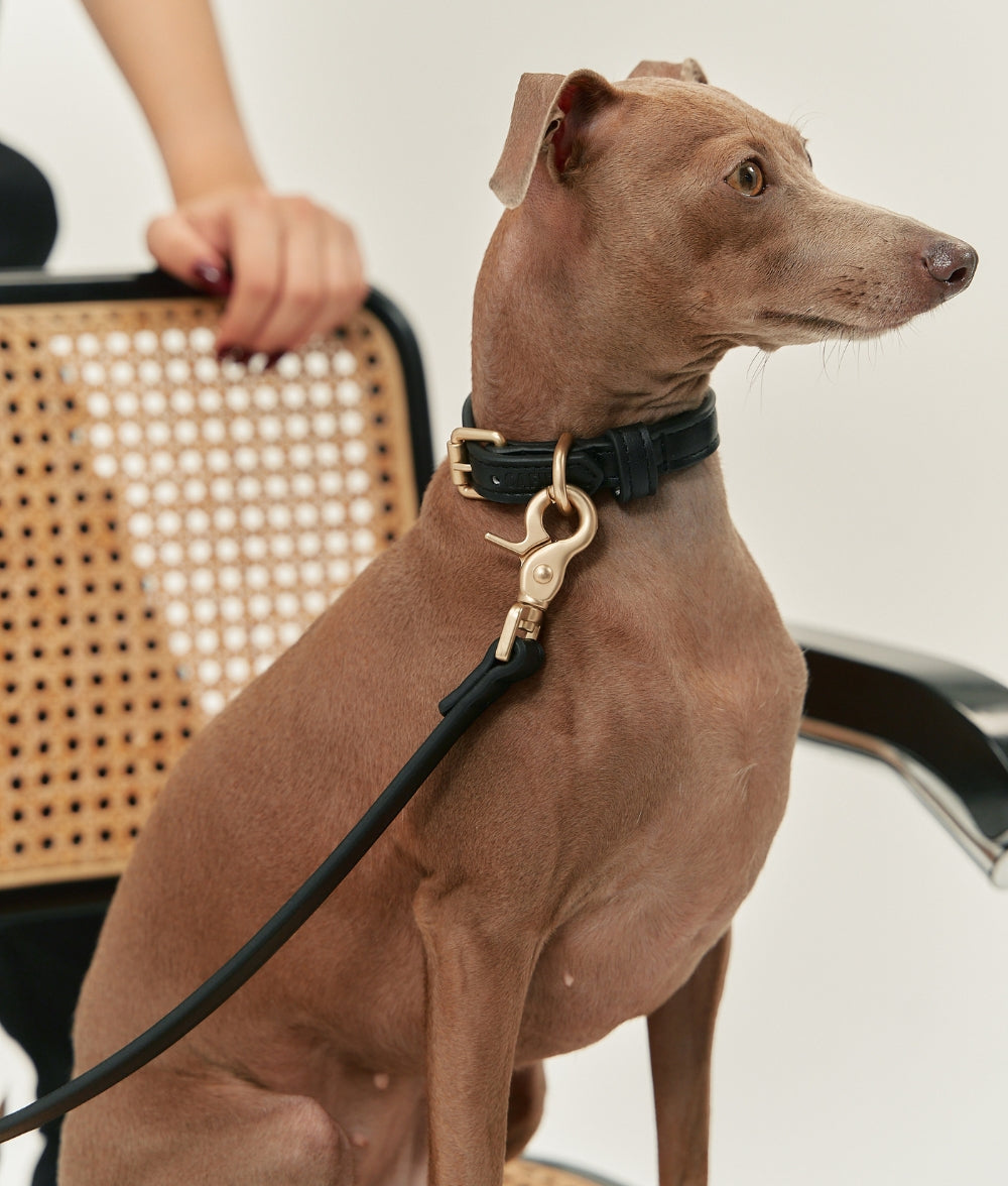 Cafide Collar De Cuero Vegano Negro. Modelo Jala._1