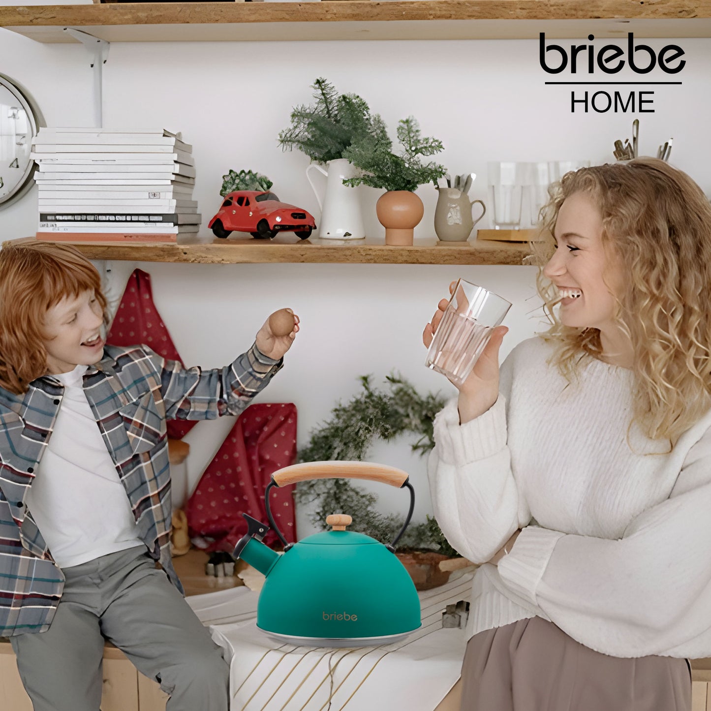 Tetera Con Silbato, Hervidor De Agua 2,5l, Inducción, Acero Inox, Vintage, Mango Madera, Briebe, Nordic, Verde