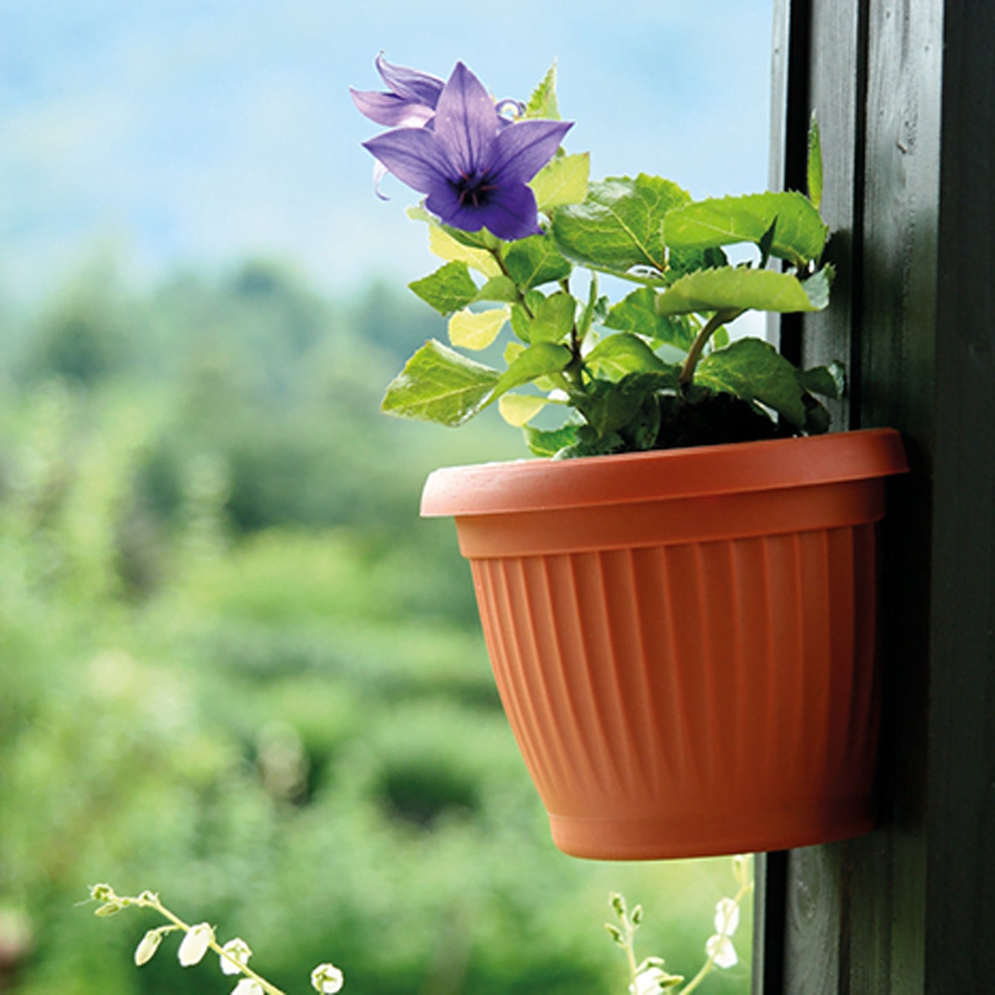 Maceta Zed Terra 2,8l., Dimensiones (mm) 220x220x160, Color Terracota_1