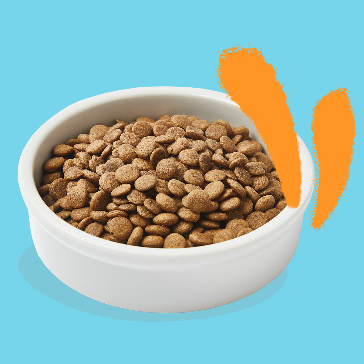 Pienso para gatos Pollo Fresco de Corral Edgard & Cooper 4 Kg