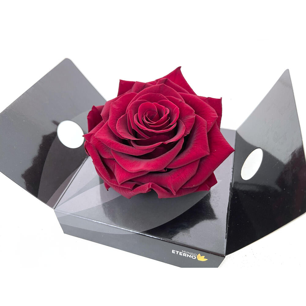 Mundo Eterno Rosmelia Preservada Granate 12cm