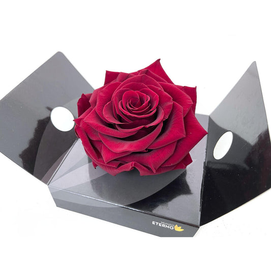 Mundo Eterno Rosmelia Preservada Granate 12cm