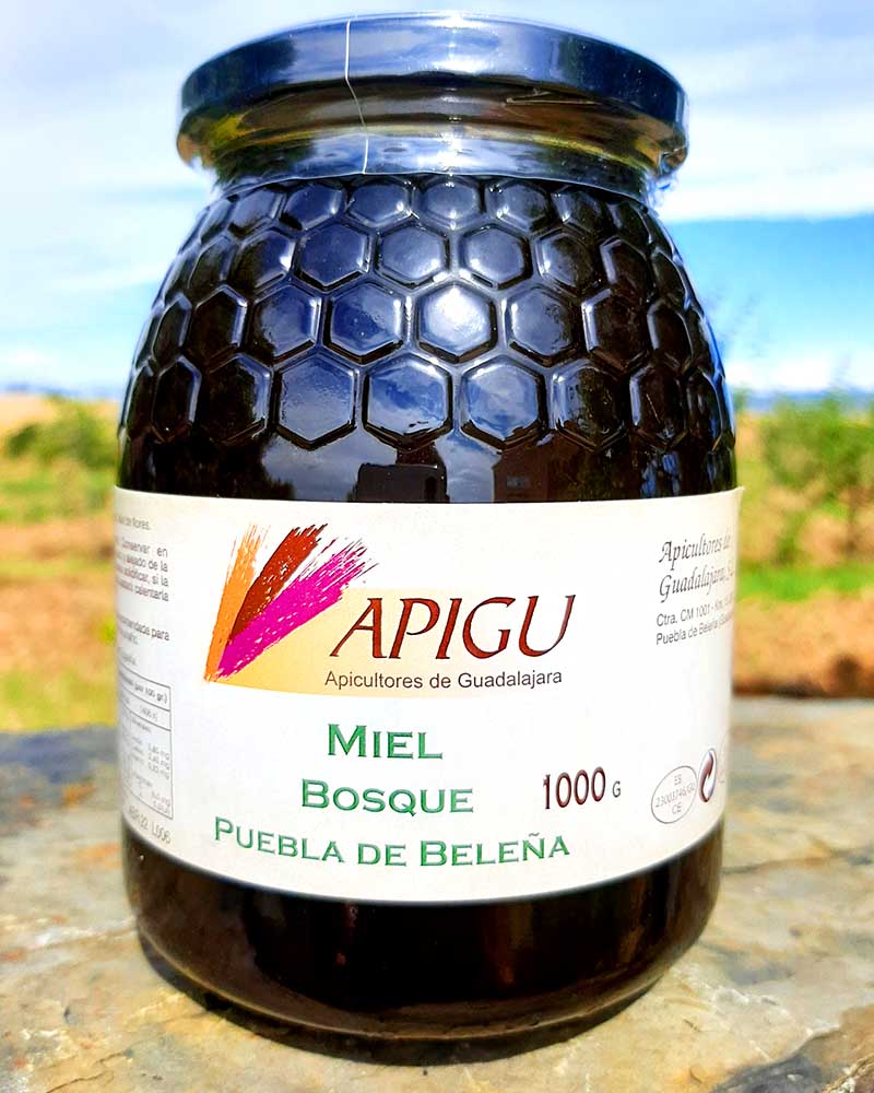 Miel Bosque Apigu Tarro 1000g_0