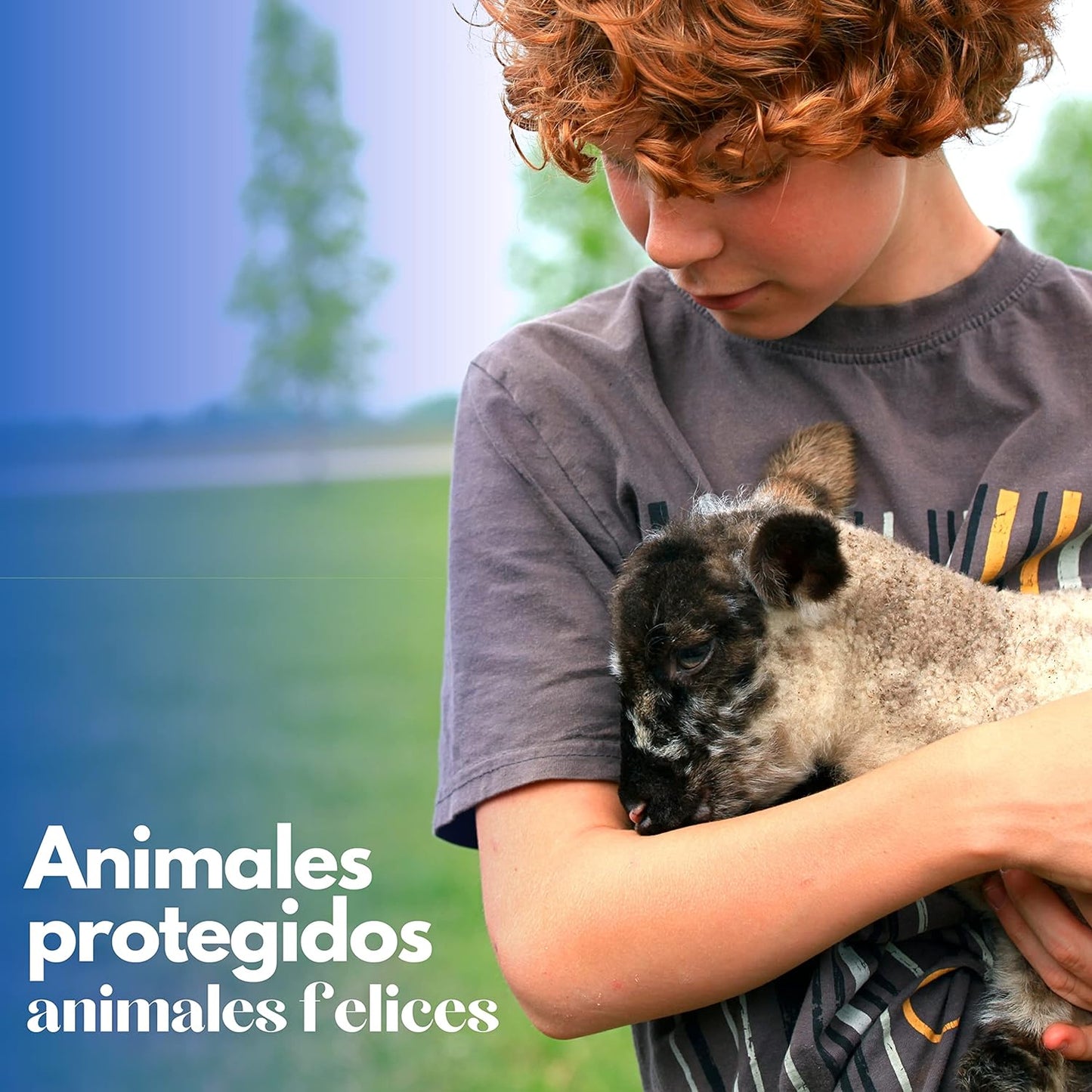 Gallinero Para Pavos Y Otras Grandes Aves - Caseta Para Animales - Refugio Para Cabras Y Ovejas_4