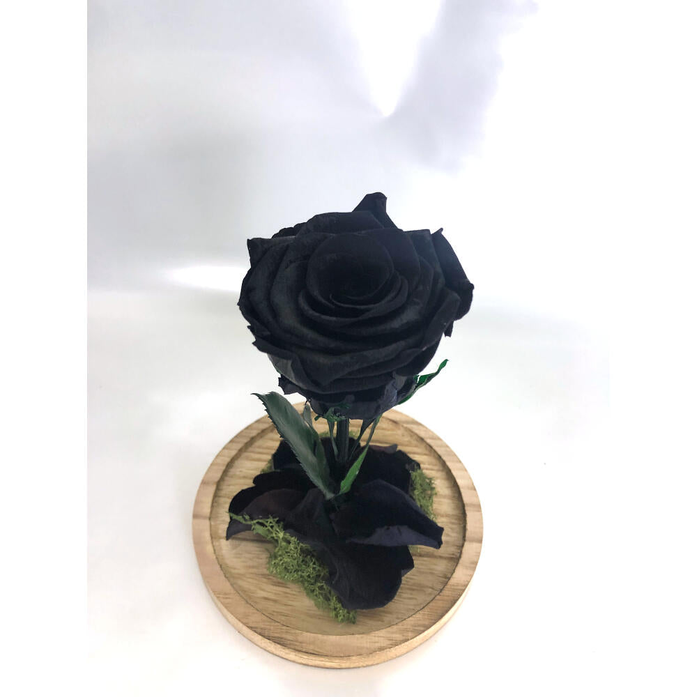 Mundo Eterno Rosa En Cúpula Negra 12x20cm_4